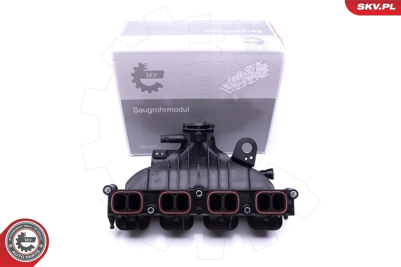Intake Manifold Module